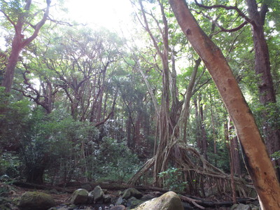 b0184211_11473331.jpg