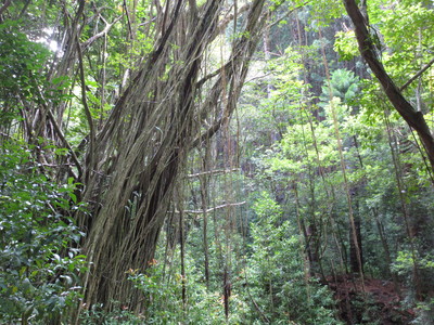 b0184211_11594326.jpg