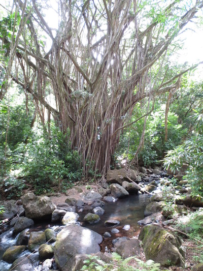 b0184211_1222664.jpg