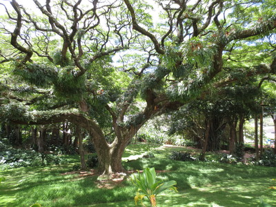b0184211_12382526.jpg