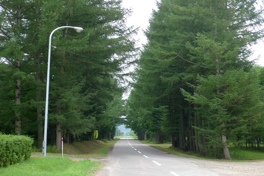 b0189415_21574276.jpg