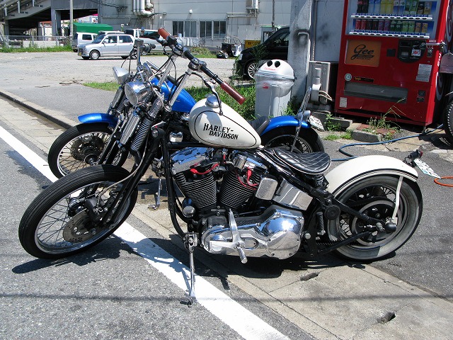 Blogご覧の皆様、、、お気使いありがとうございます。_a0110720_14505587.jpg