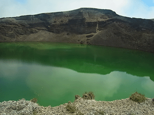 f0232920_1417160.gif