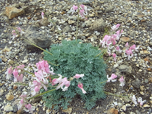 f0232920_14222989.gif