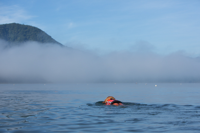 水泳部2012　４回目　霧の中で…_e0192921_22322559.jpg