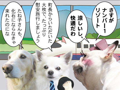 犬町三丁目・町内旅行_b0119525_2094253.jpg