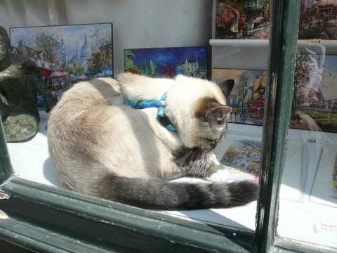 世界の猫 写真館 in パリ_e0237625_129887.jpg