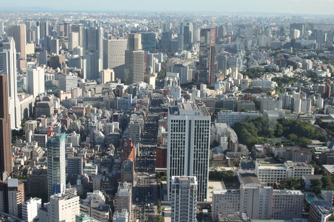 大都会東京！_d0148729_2340223.jpg