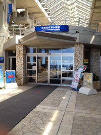 僕の夏休み_b0181732_21534946.jpg