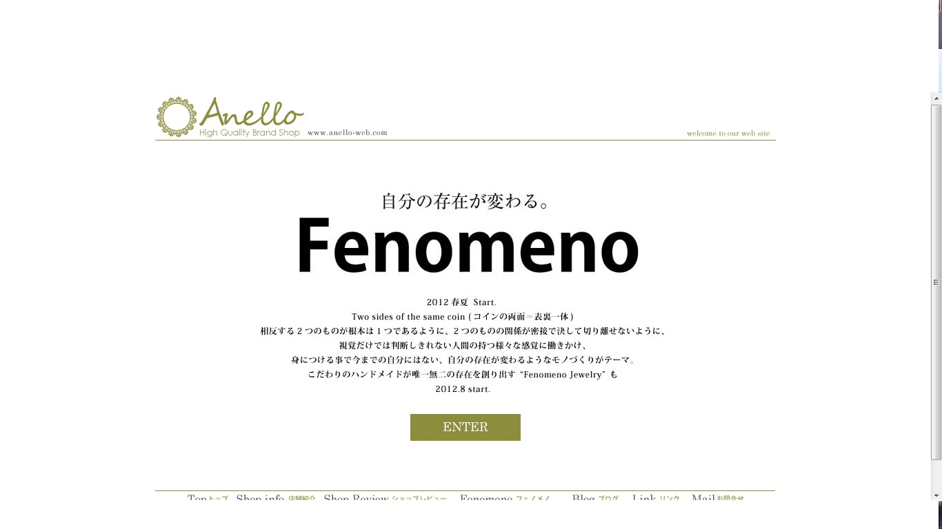 Fenomeno購入方法_d0165136_16131838.jpg