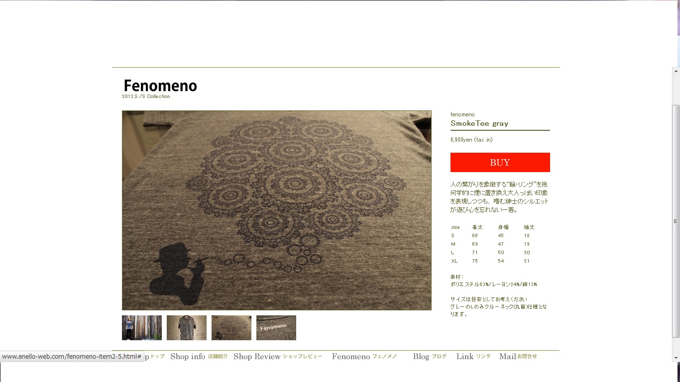 Fenomeno購入方法_d0165136_16284227.jpg