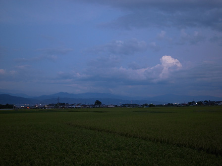 a0014840_2045359.jpg