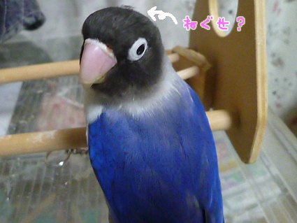すっきり!_e0147757_0152186.jpg