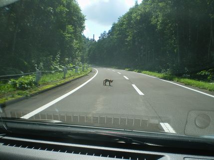 f0233868_21331114.jpg