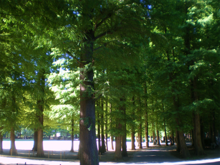 b0056570_084312.jpg