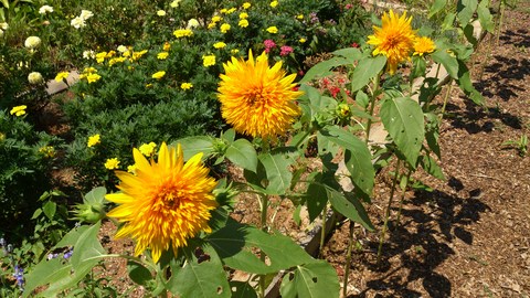 妙高高原スポーツ公園_d0182179_2103730.jpg
