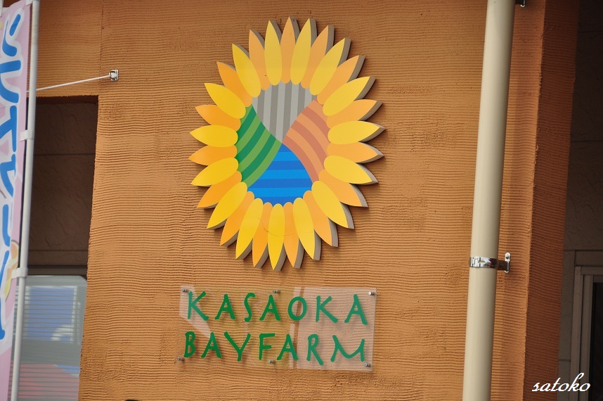 f0225982_12471416.jpg
