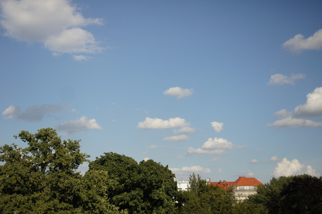 c0180686_22383925.jpg