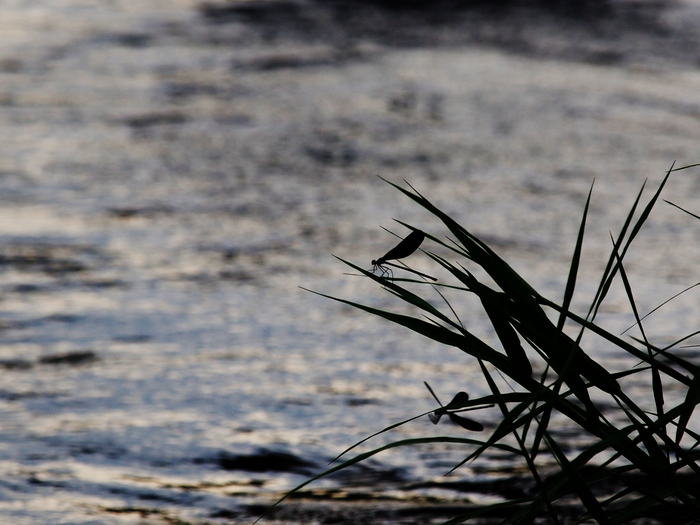 e0242086_03571.jpg
