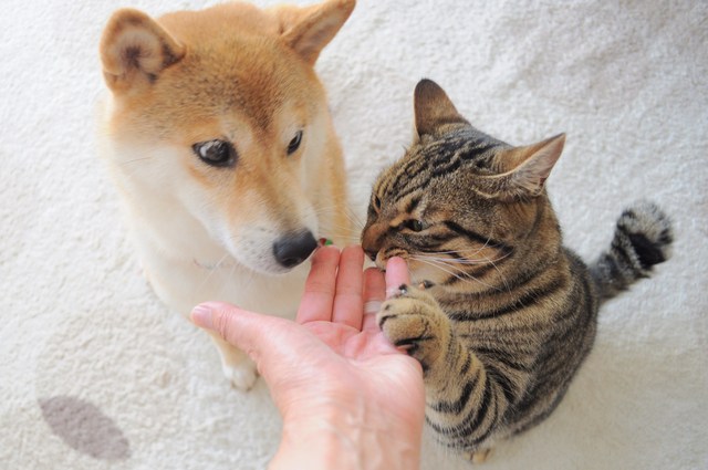 もやしっ子_a0126590_10395019.jpg
