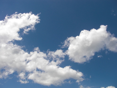 e0216090_208069.jpg