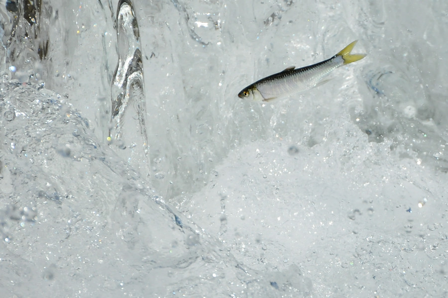 a0143491_2024456.jpg