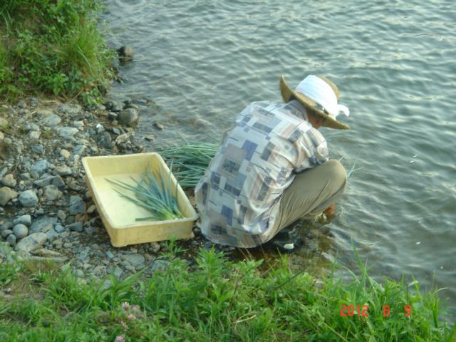 f0237893_12384324.jpg