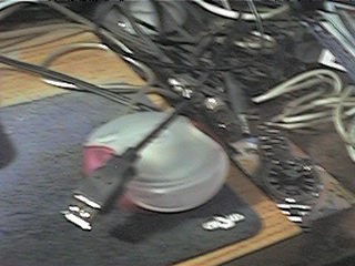 f0151099_3631100.jpg