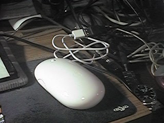 f0151099_36531.jpg