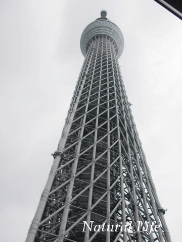b0162000_8132169.gif