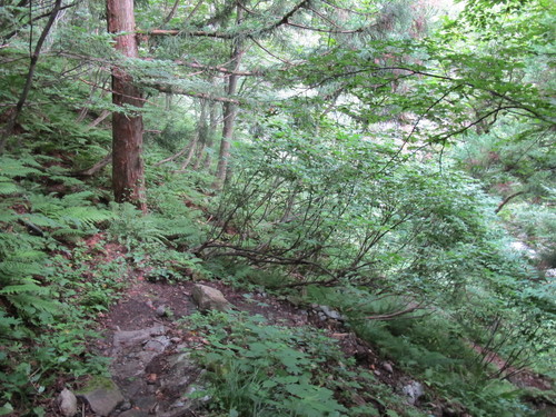 c0075701_23102682.jpg