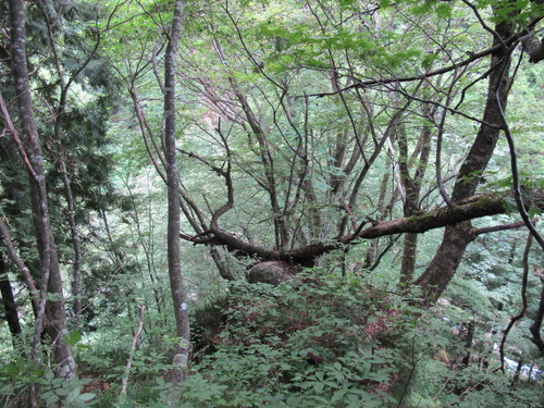 c0075701_23103125.jpg
