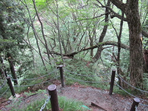 c0075701_23103578.jpg