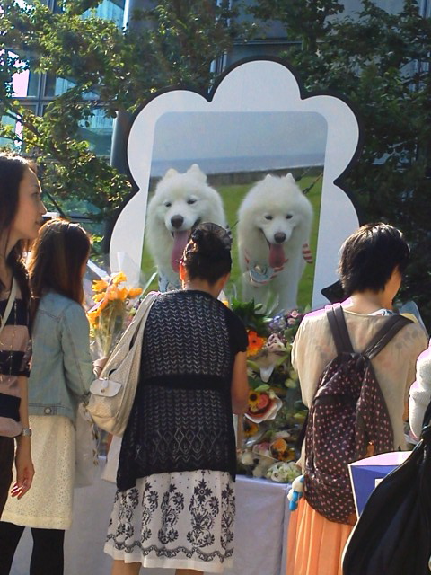 e0206702_1613268.jpg