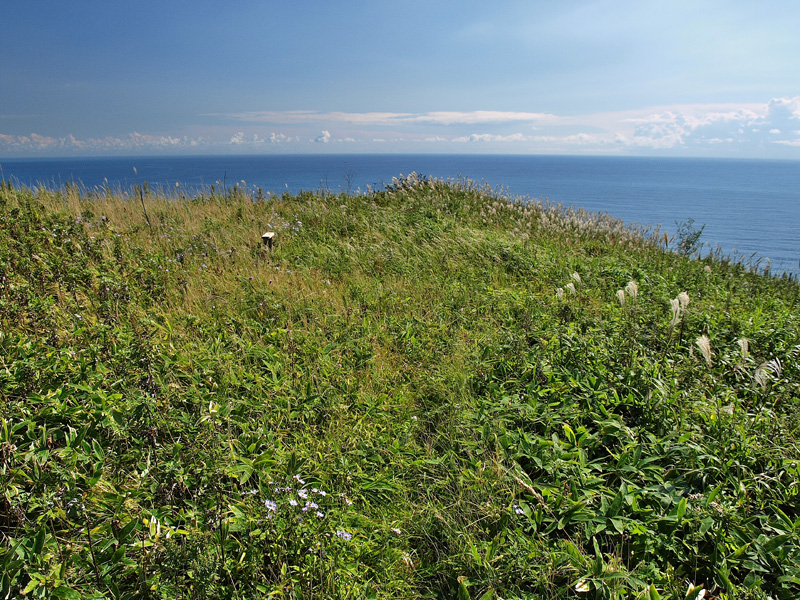 断崖上の散策路　トッカリショ～イタンキ浜　　2011.9.24_f0200402_14184524.jpg
