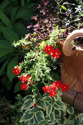 a0123003_23252299.jpg