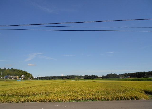 b0147203_10462042.jpg