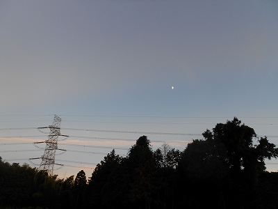 b0147203_10465943.jpg
