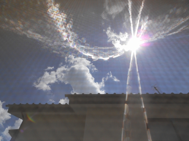 b0147203_1046866.jpg