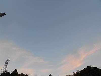 b0147203_10473086.jpg