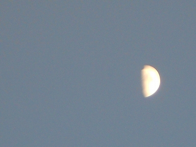 b0147203_1047683.jpg