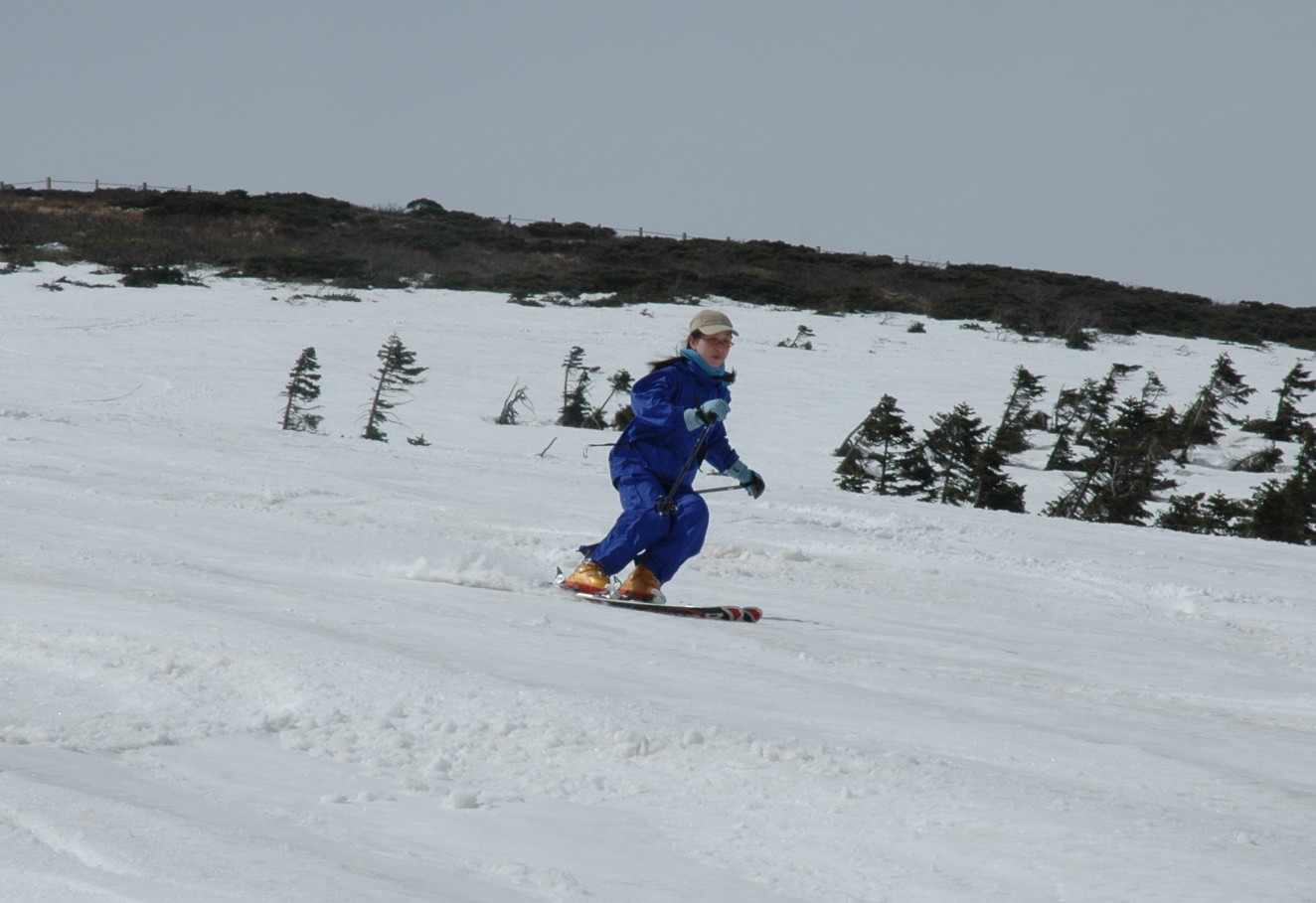 転倒もまた楽し。粉雪病ならではだ!!_c0242406_833714.jpg