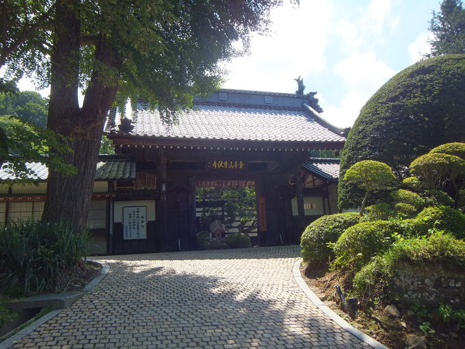 牛伏寺_d0149306_10174580.jpg