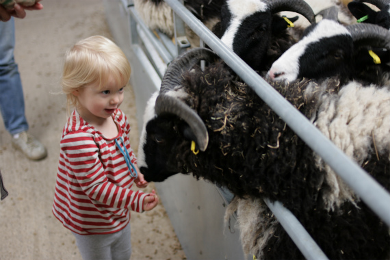 Odds Farm_a0215008_404956.jpg