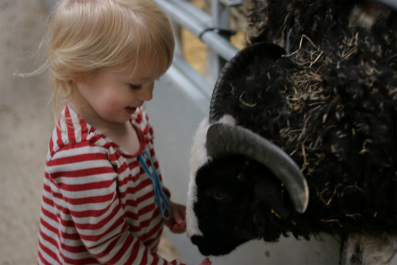 Odds Farm_a0215008_422187.jpg