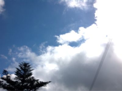 雲と青空_e0179508_133124.jpg