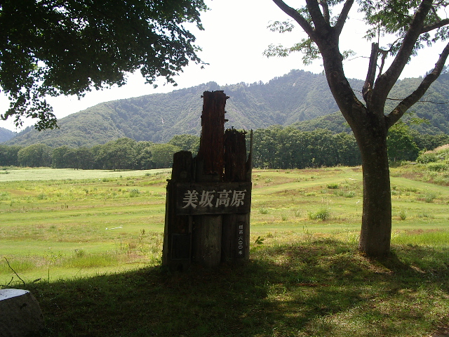 e0243008_858372.jpg