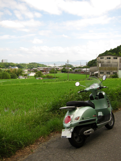 a0129311_21344390.jpg