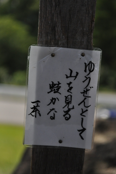 b0067012_1751740.jpg