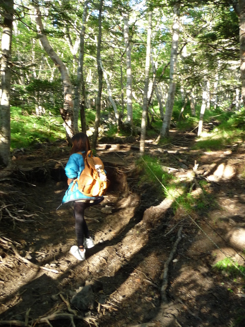 b0087914_1125167.jpg